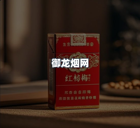 关于御龙烟网